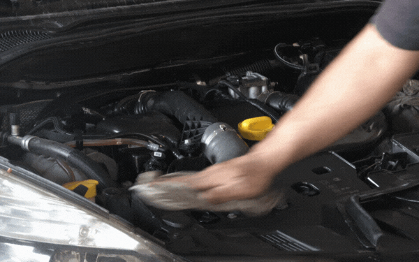 clean car engine